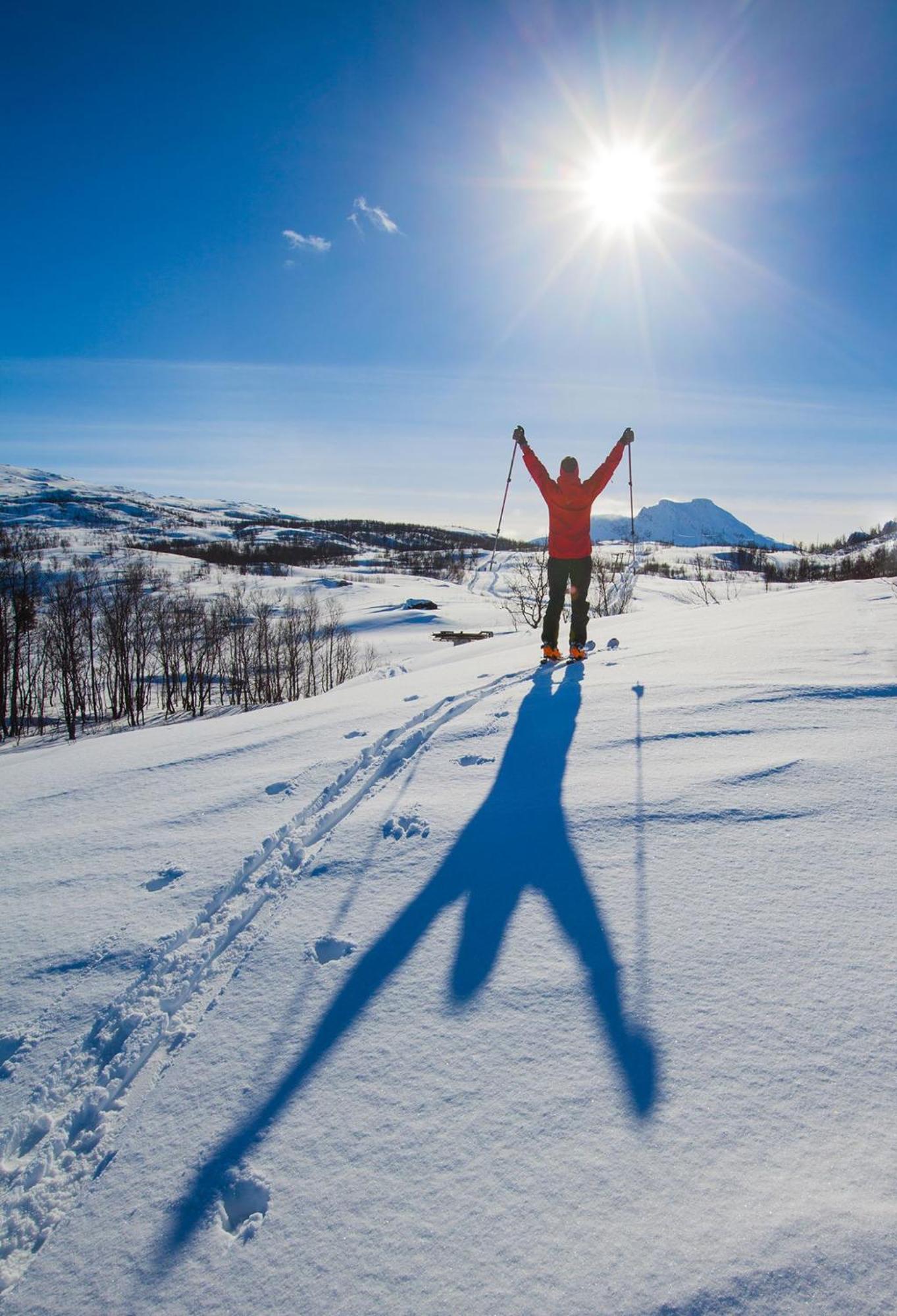 Ballangen Camping Hotel Narvik Eksteriør billede