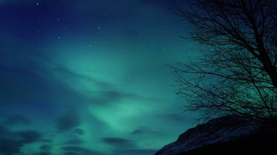 Ballangen Camping Narvik Eksteriør billede