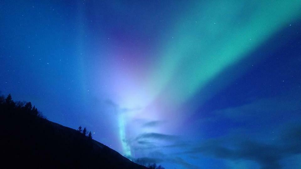 Ballangen Camping Narvik Eksteriør billede