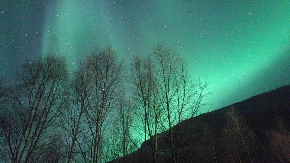 Ballangen Camping Hotel Narvik Eksteriør billede